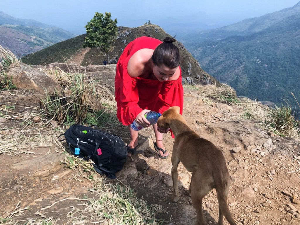 Hondjes water geven bij Little Adam's Peak