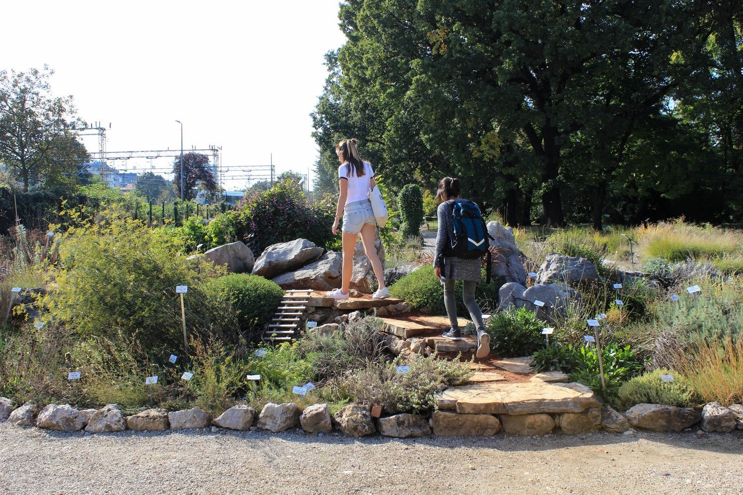 Botanische tuin Zagreb