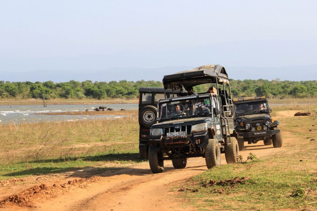 Op safari door Udawalawe National Park