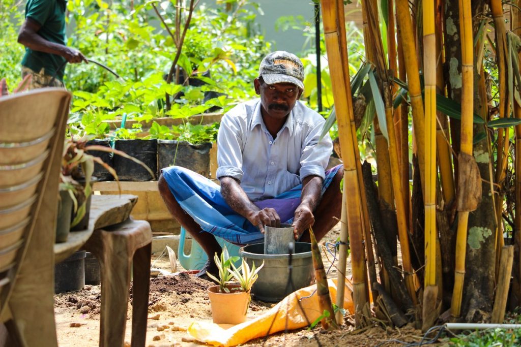 Sri Lankaanse meneer in Ella