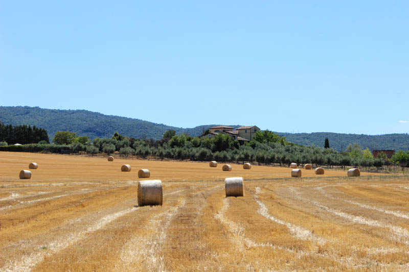 Hooibalen in Umbrië