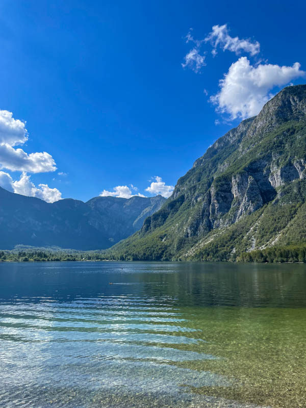 Meer Bohinj in Slovenië