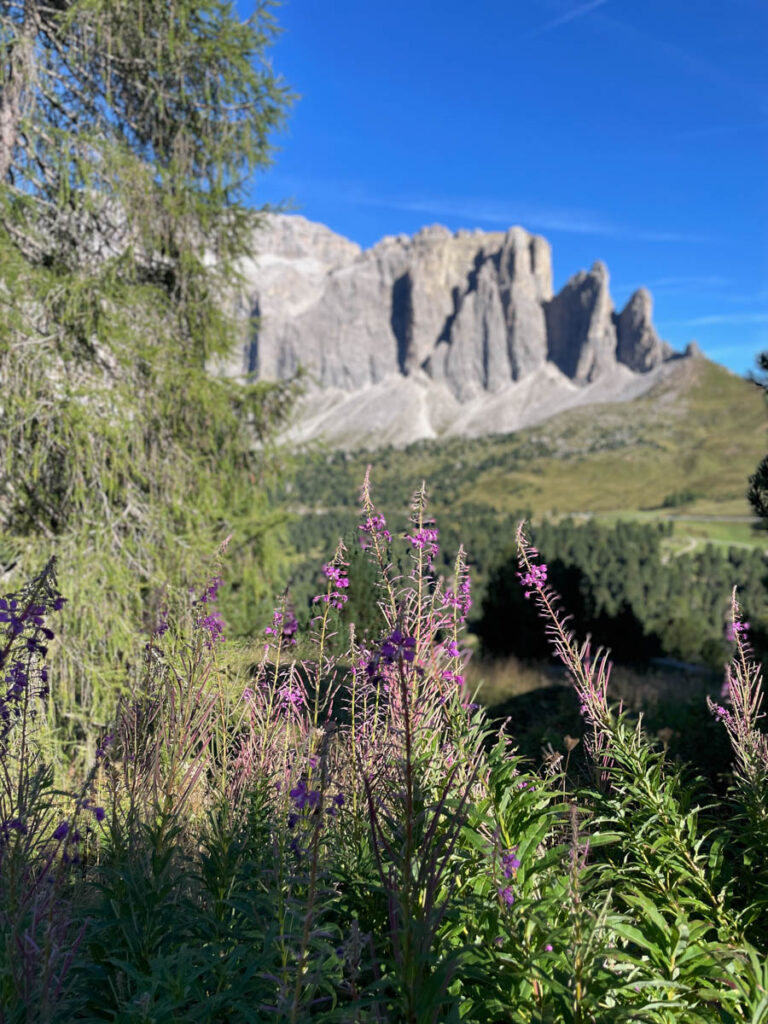 Hiken bij Sassolungo Langkofel